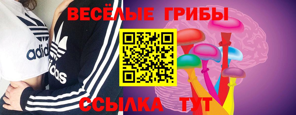 Озёрск  Галлюциногенные грибы мухоморы  Вход с VPN 